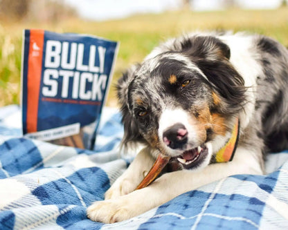 <NEW PRODUCT!> Beef Scapula Dog Chews (1 Pound) 100% Natural Free Range, Grass Fed Beef - Loaded with Glucosamine and Chondroitin to Support Joint Health
