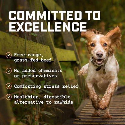 <NEW PRODUCT!> Beef Scapula Dog Chews (1 Pound) 100% Natural Free Range, Grass Fed Beef - Loaded with Glucosamine and Chondroitin to Support Joint Health